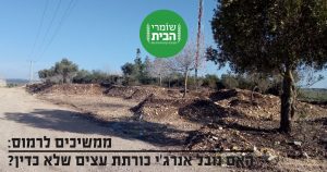 האם נובל אנרגי כורתת עצים שלא כדין?