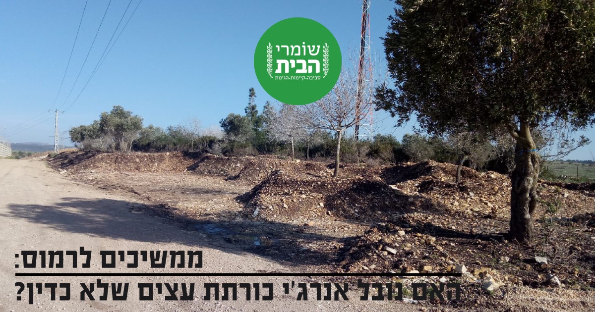 האם נובל אנרגי כורתת עצים שלא כדין?