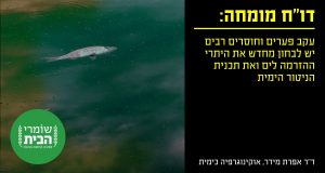 דוח מומחה - יש לבחון מחדש היתרי הזרמה לים מאסדות הגז