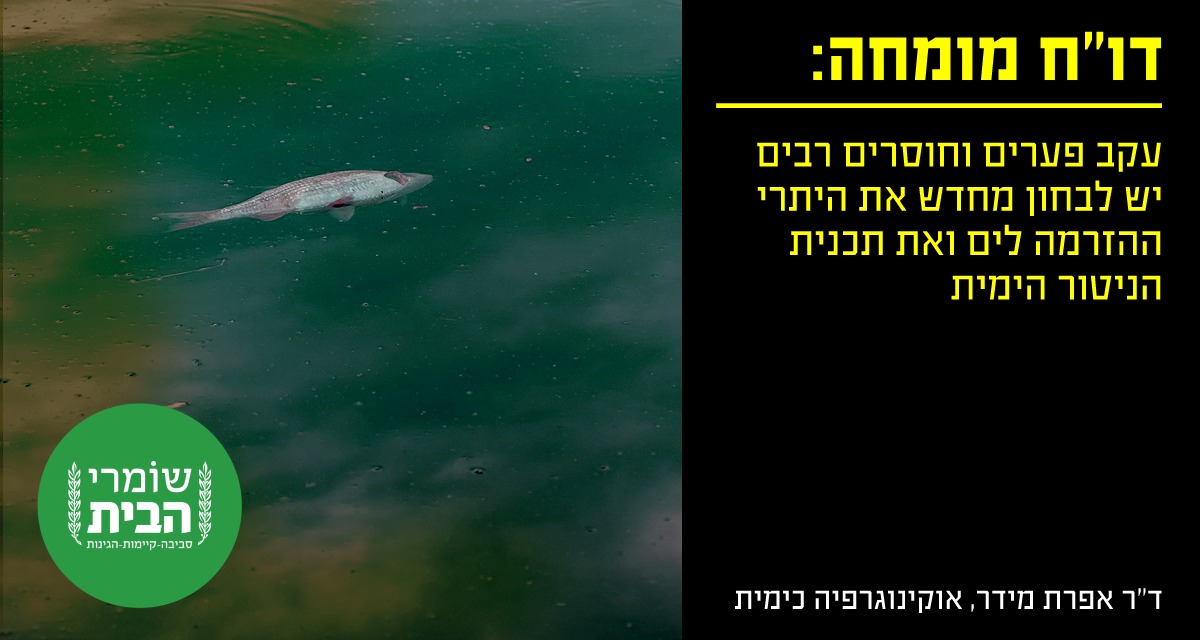 דוח מומחה - יש לבחון מחדש היתרי הזרמה לים מאסדות הגז