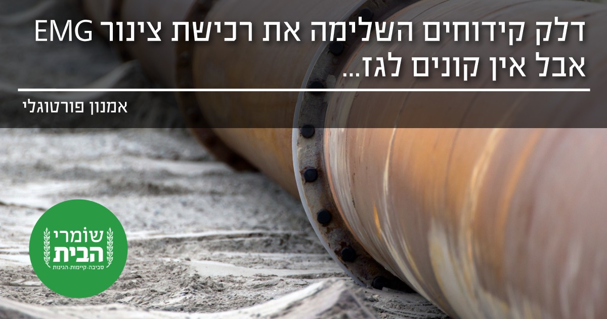 דלק קידוחים השלימה את רכישת צינור EMG אבל אין קונים לגז